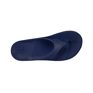Telic Energy Flip-Flop Deep Ocean 4