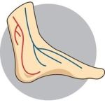 Lifebalance Foot Care | Foot Conditions