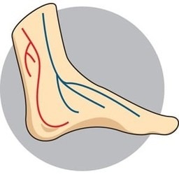 Lifebalance Foot Care | Diabetic Foot diabetic foot